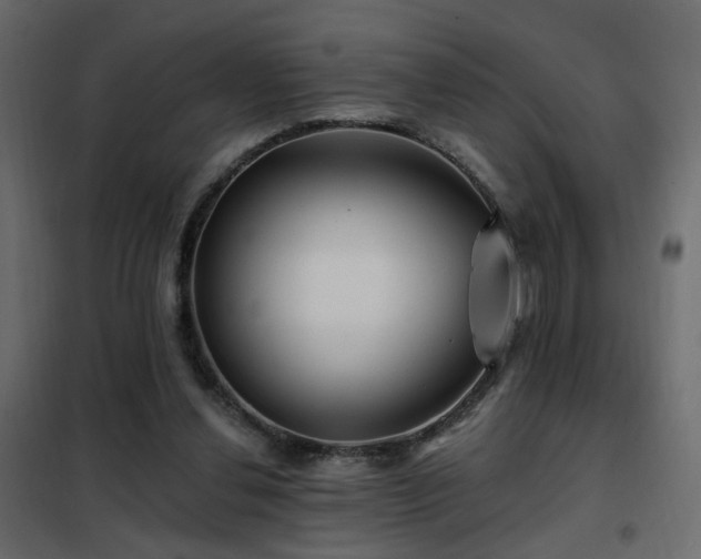 X0000102490252200808081335