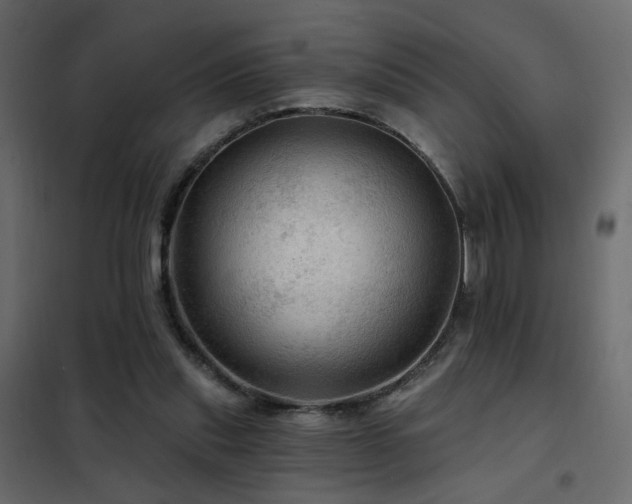 X0000102490253200808081335