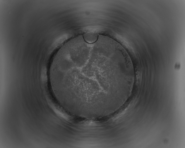 X0000102490254200808081335