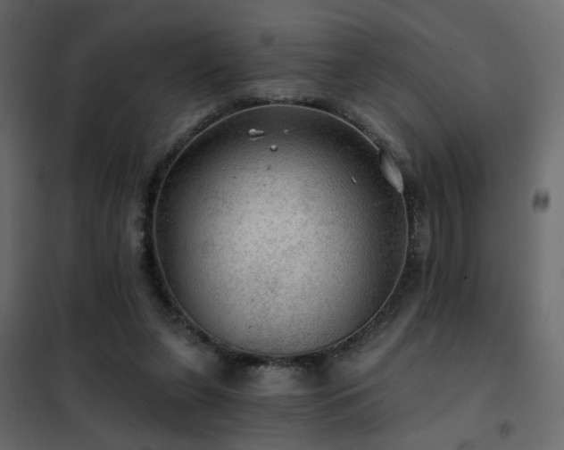 X0000102490255200808081335