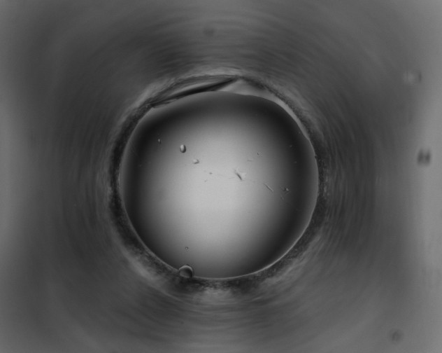 X0000102490256200808081335