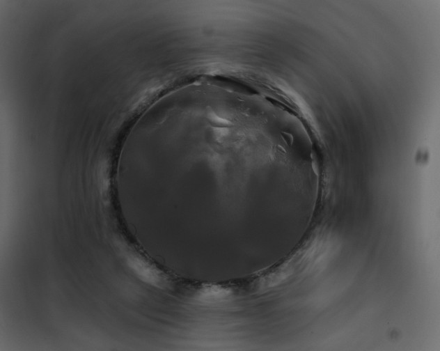 X0000102490257200808081335