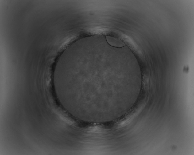 X0000102490259200808081336