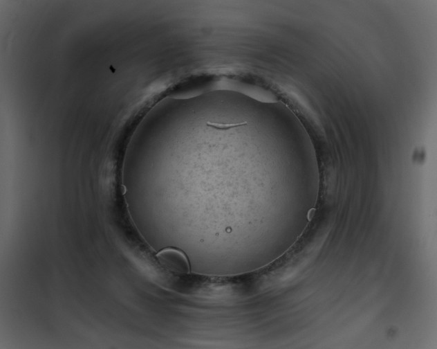 X0000102490260200808081336