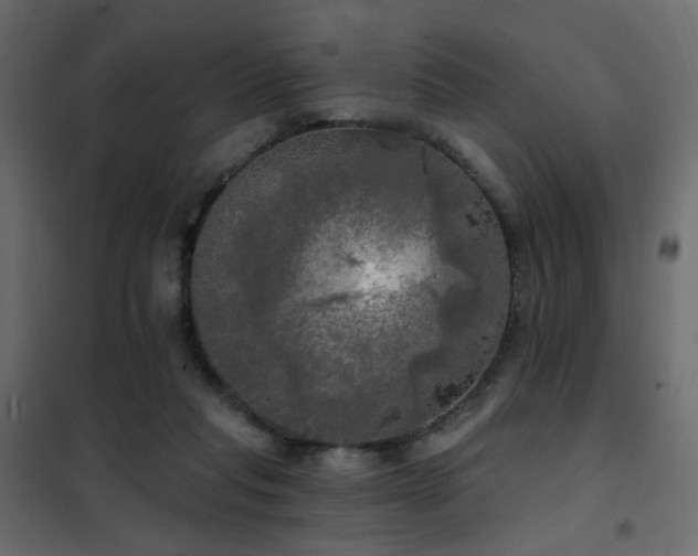 X0000102490261200808081336