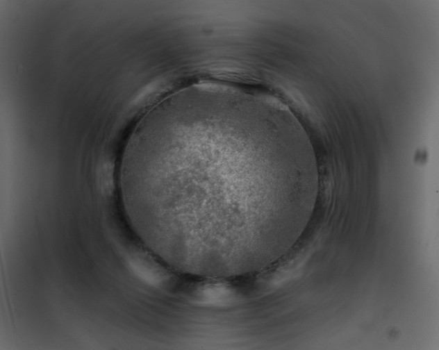 X0000102490262200808081336