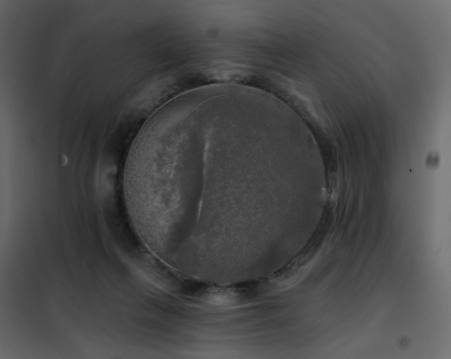 X0000102490263200808081336