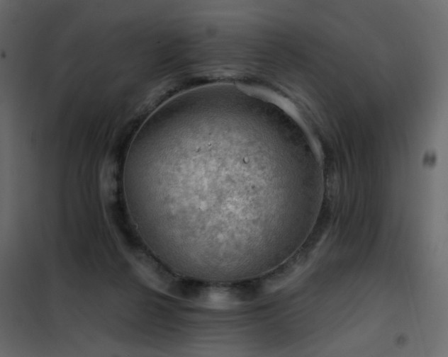 X0000102490264200808081336