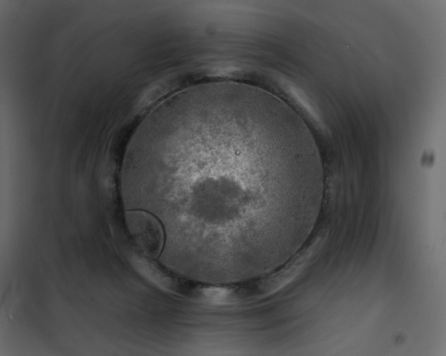 X0000102490265200808081336