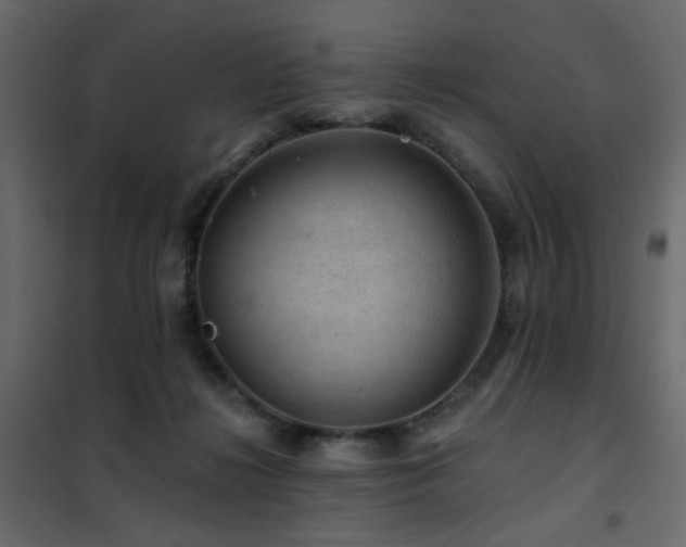 X0000102490268200808081336