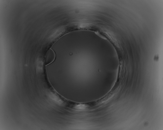 X0000102490269200808081336