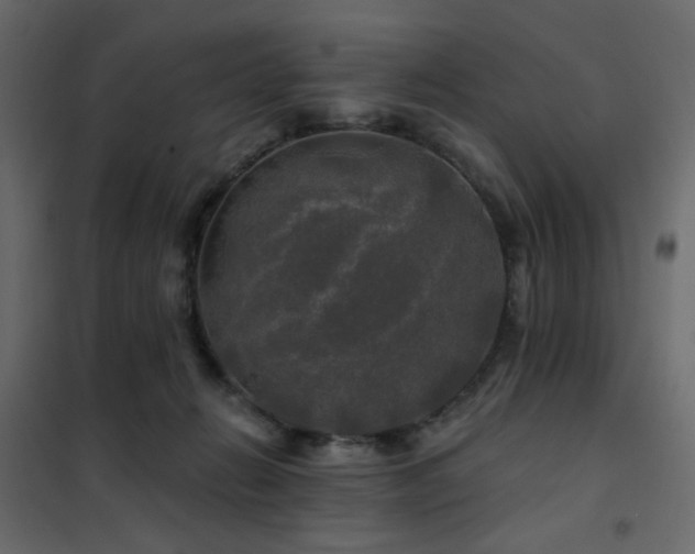 X0000102490270200808081336