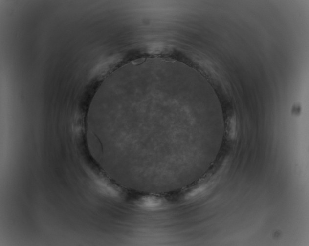 X0000102490272200808081336