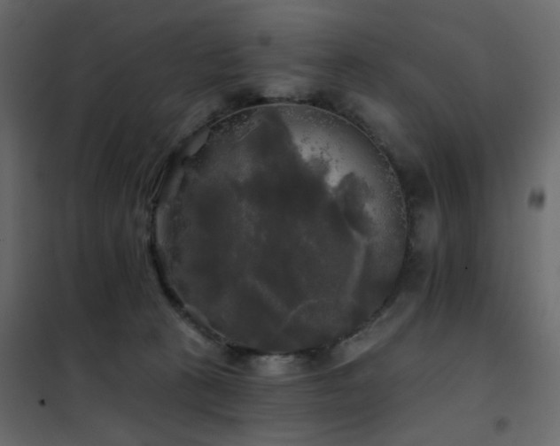 X0000102490273200808081336