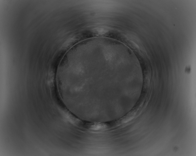 X0000102490274200808081336