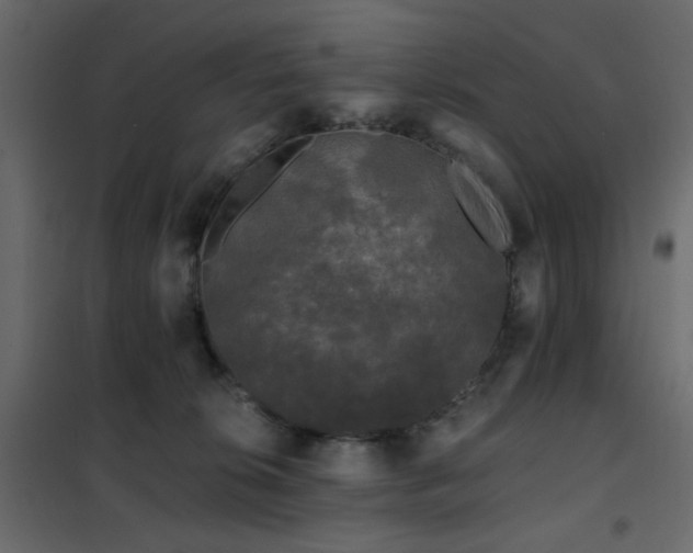 X0000102490276200808081336
