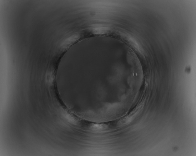 X0000102490277200808081336