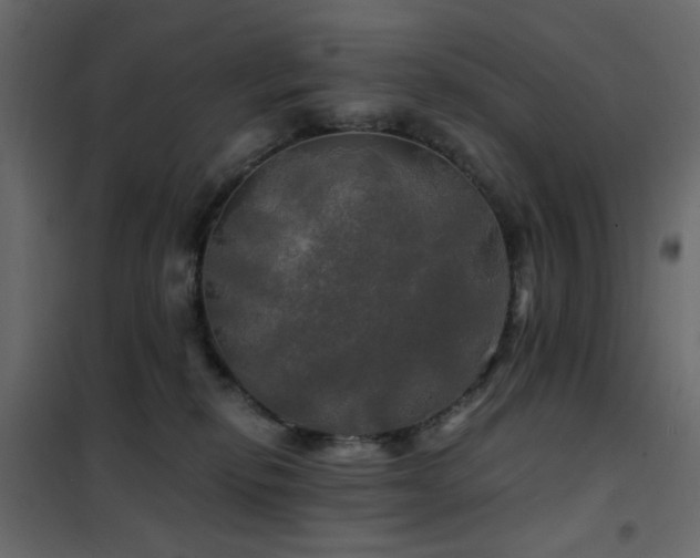 X0000102490278200808081336