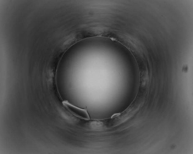 X0000102490279200808081336