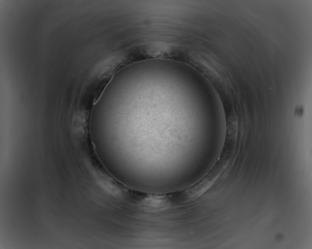 X0000102490280200808081336