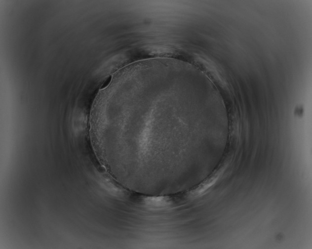 X0000102490281200808081336