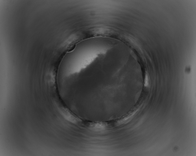 X0000102490282200808081336