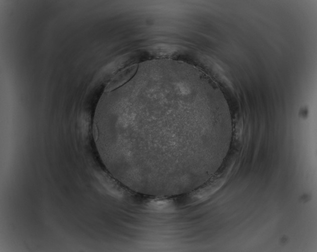 X0000102490283200808081336