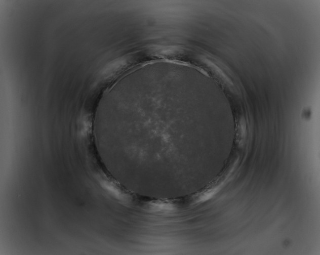 X0000102490284200808081336
