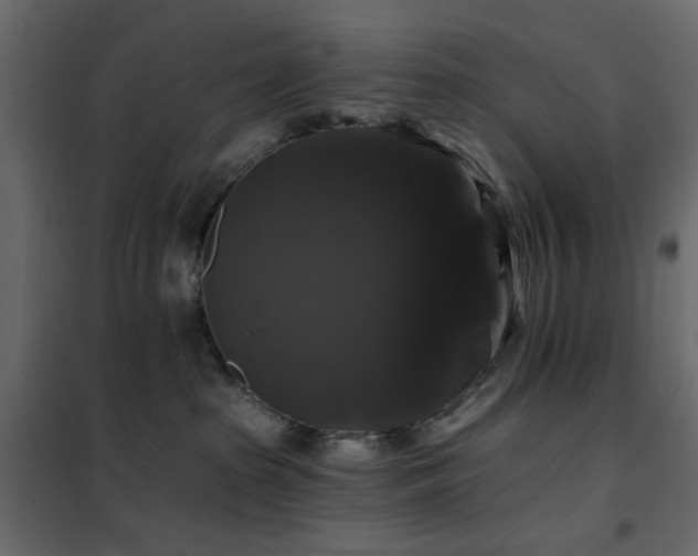 X0000102490285200808081336