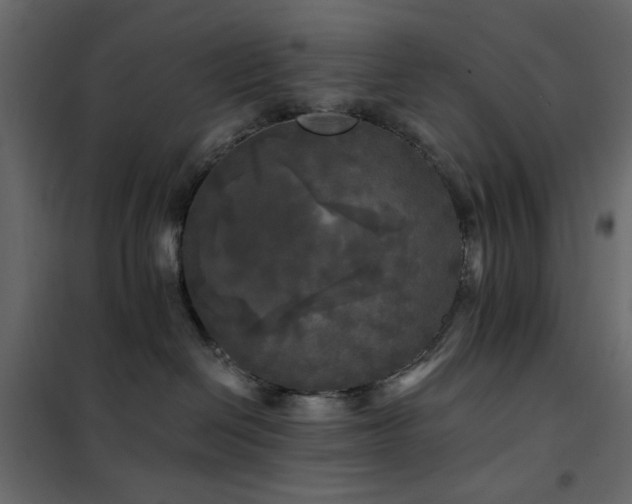 X0000102490286200808081336
