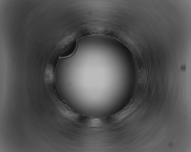 X0000102490287200808081336