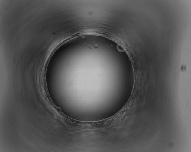 X0000102490289200808081335
