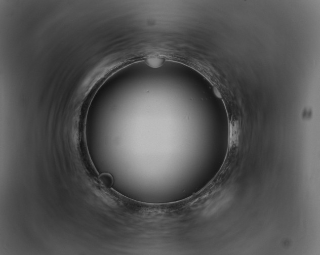 X0000102490291200808081335