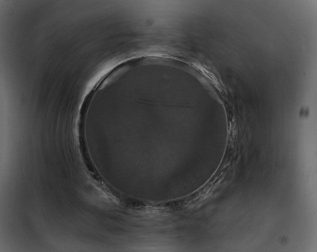 X0000102490292200808081335