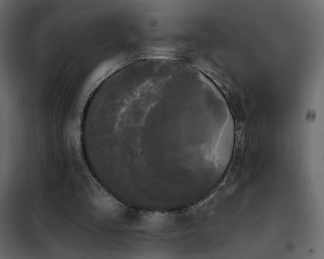 X0000102490293200808081335
