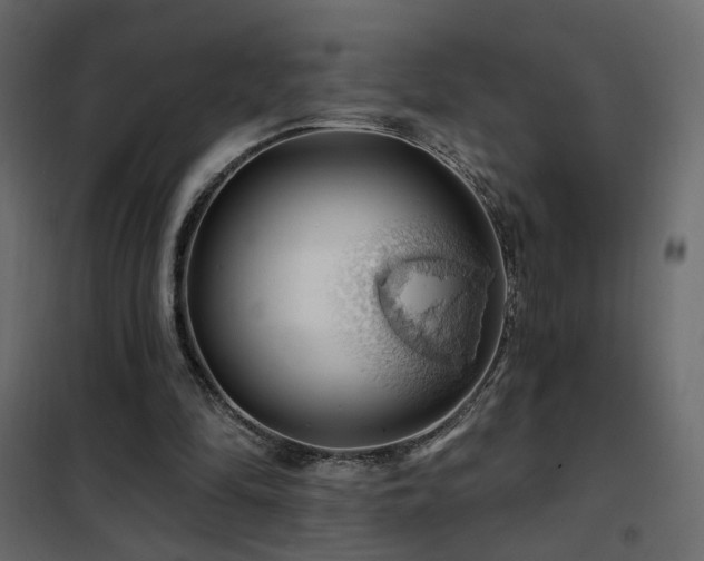 X0000102490294200808081335