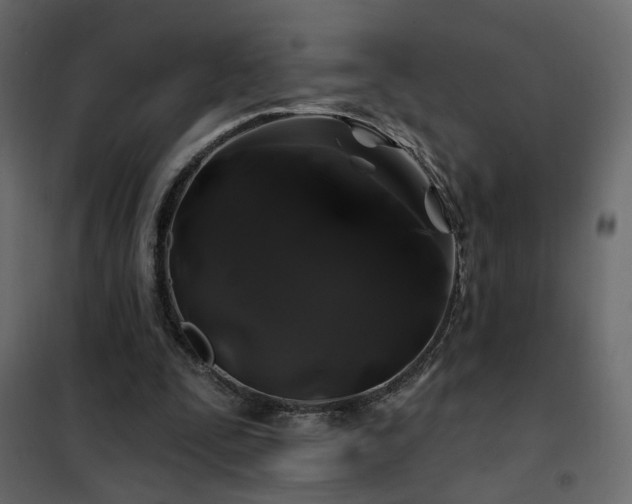 X0000102490295200808081335