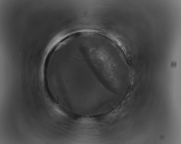 X0000102490296200808081335