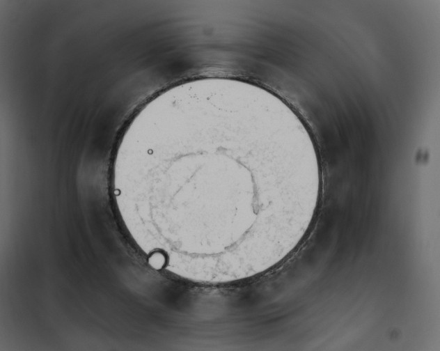 X0000102490297200808081335