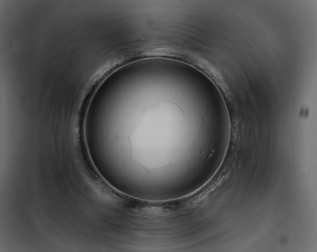 X0000102490298200808081335