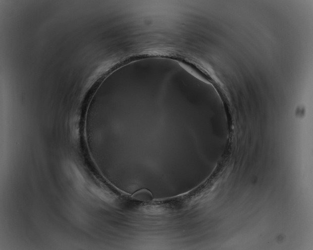 X0000102490299200808081335