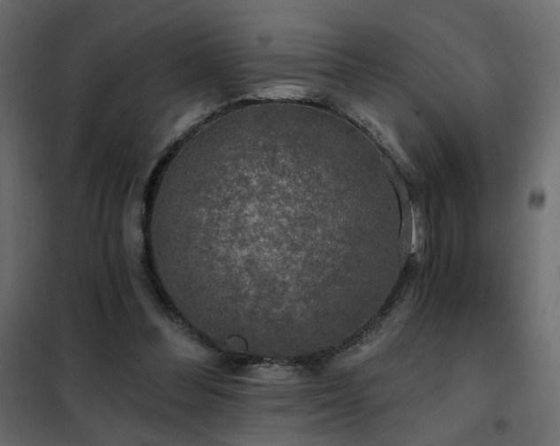 X0000102490300200808081335