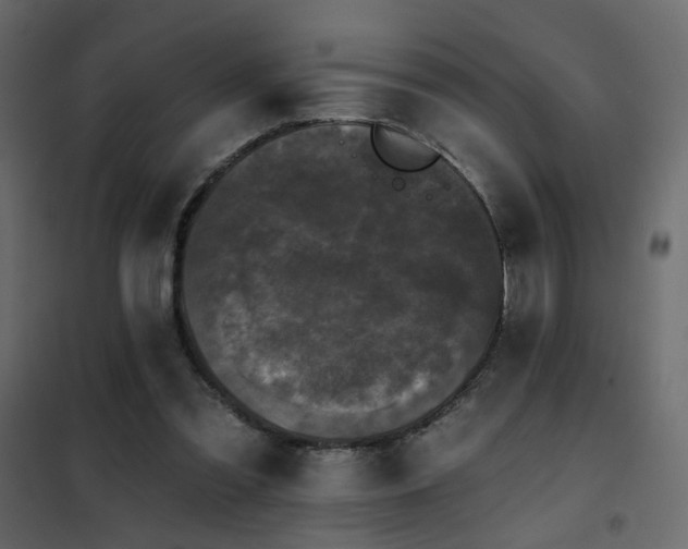 X0000102490301200808081335