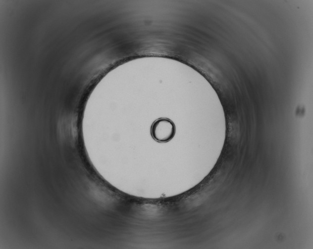 X0000102490302200808081335