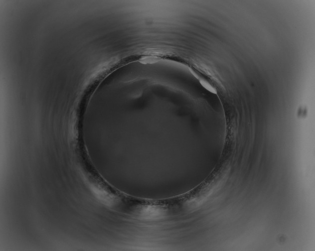 X0000102490303200808081335