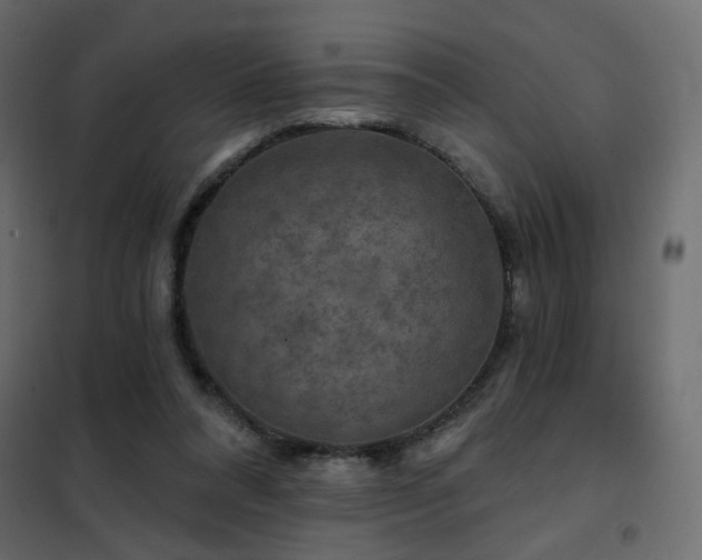 X0000102490304200808081335