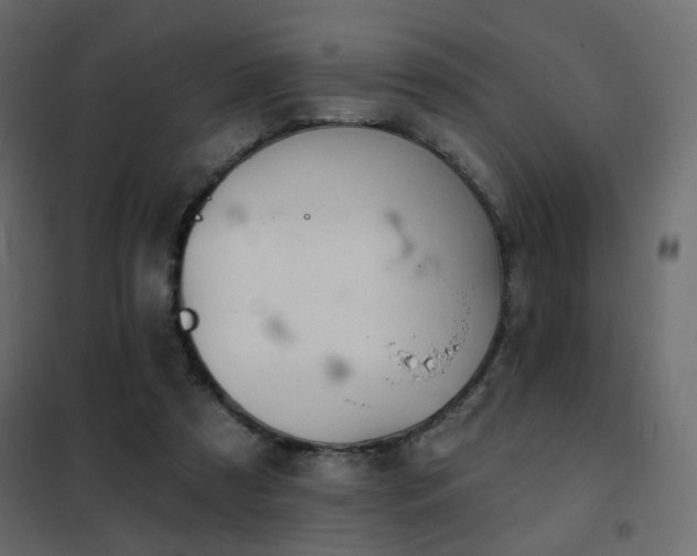 X0000102490305200808081335