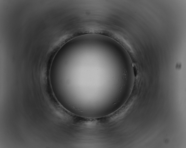 X0000102490306200808081335