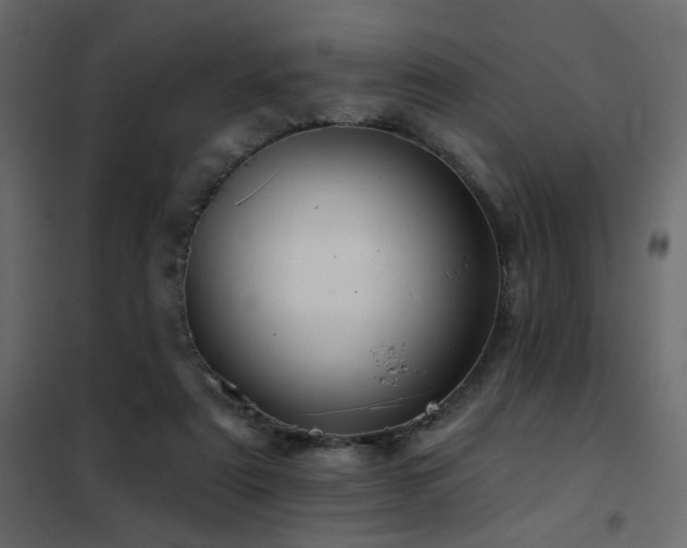 X0000102490307200808081335