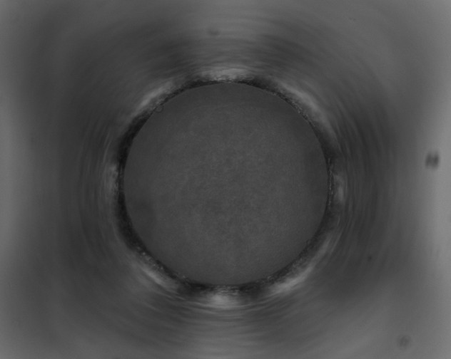 X0000102490308200808081335